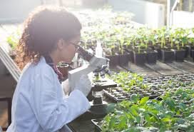 Pemanfaatan Bioteknologi untuk Mewujudkan Sistem Pangan Berkelanjutan